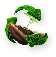 Consultoría ambiental